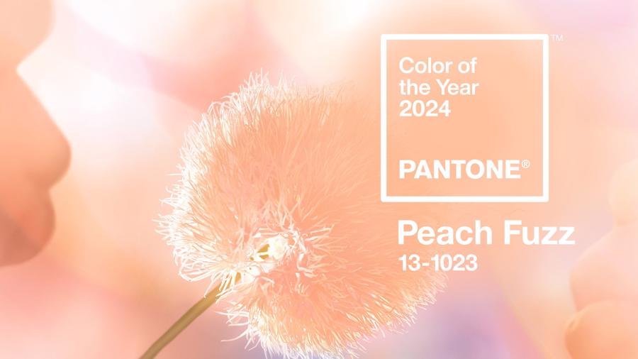 Màu peach Fuzz - màu sắc của 2024 được Pantone công bố