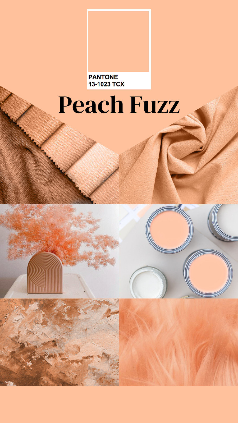 Peach Fuzz - mang lại sự ấm áp, tinh tế lan tỏa yêu thương